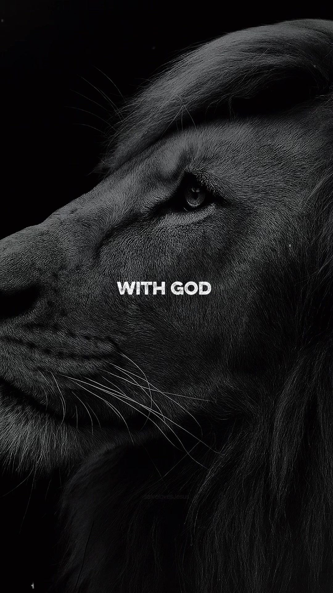 @Felix Inspires🦁