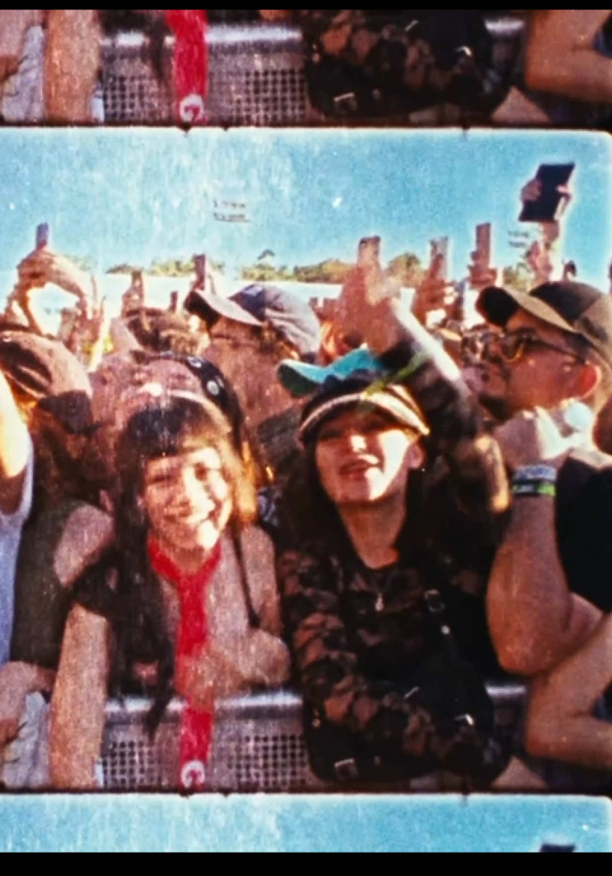 @lollapaloozaar