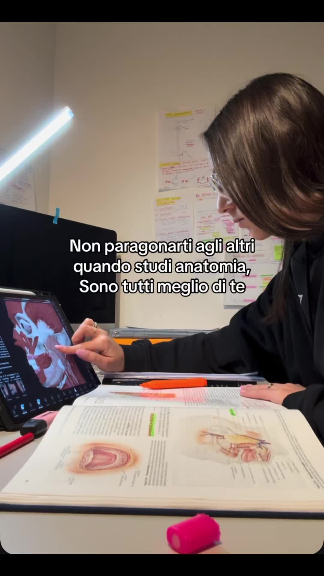 @Aurora | study tips📚