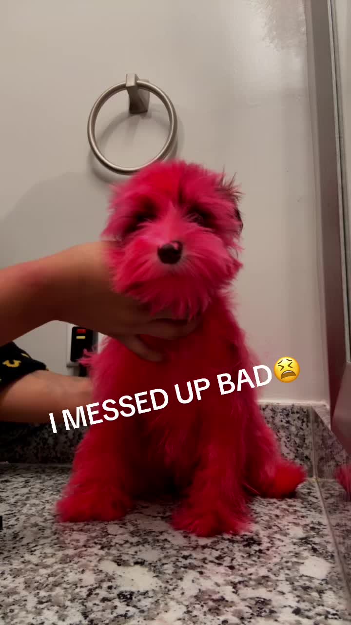 @RosegoldXO