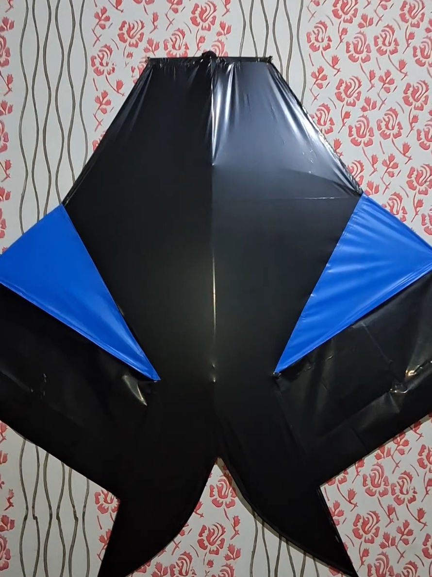 @daffin kite store
