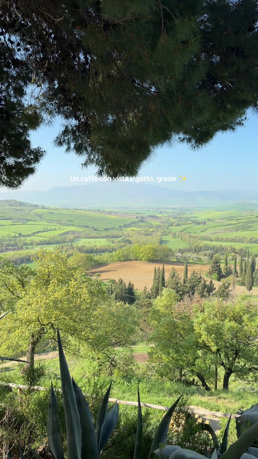 @Cavadini Federica