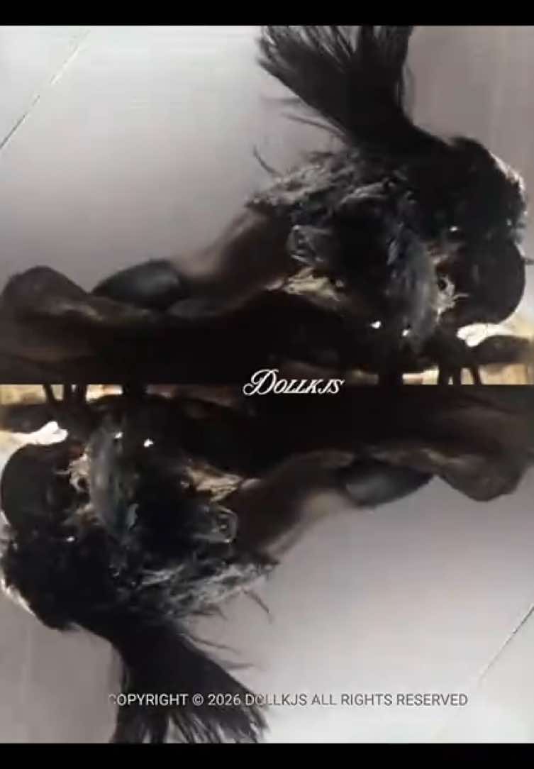 @✢