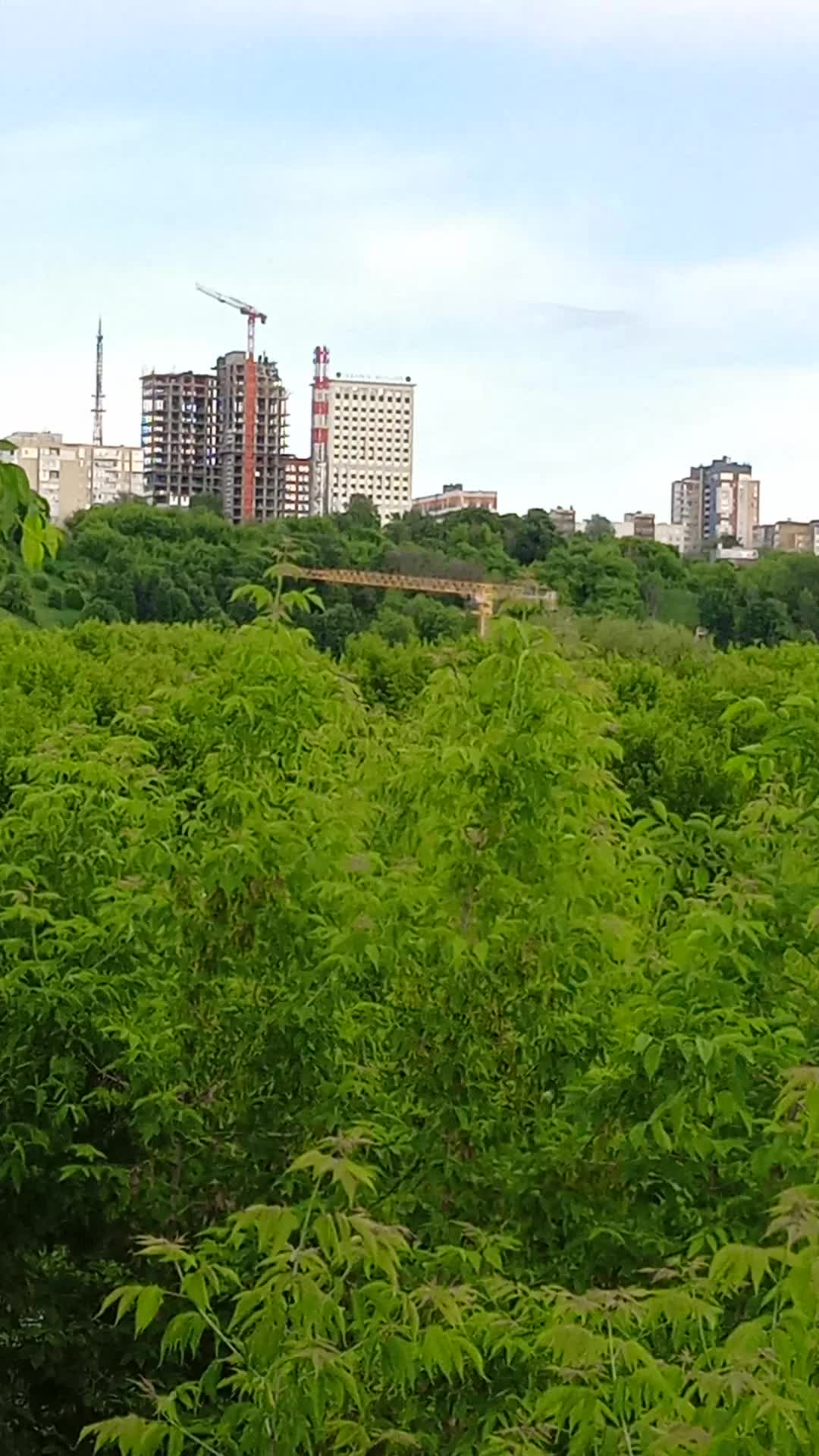 @Елена