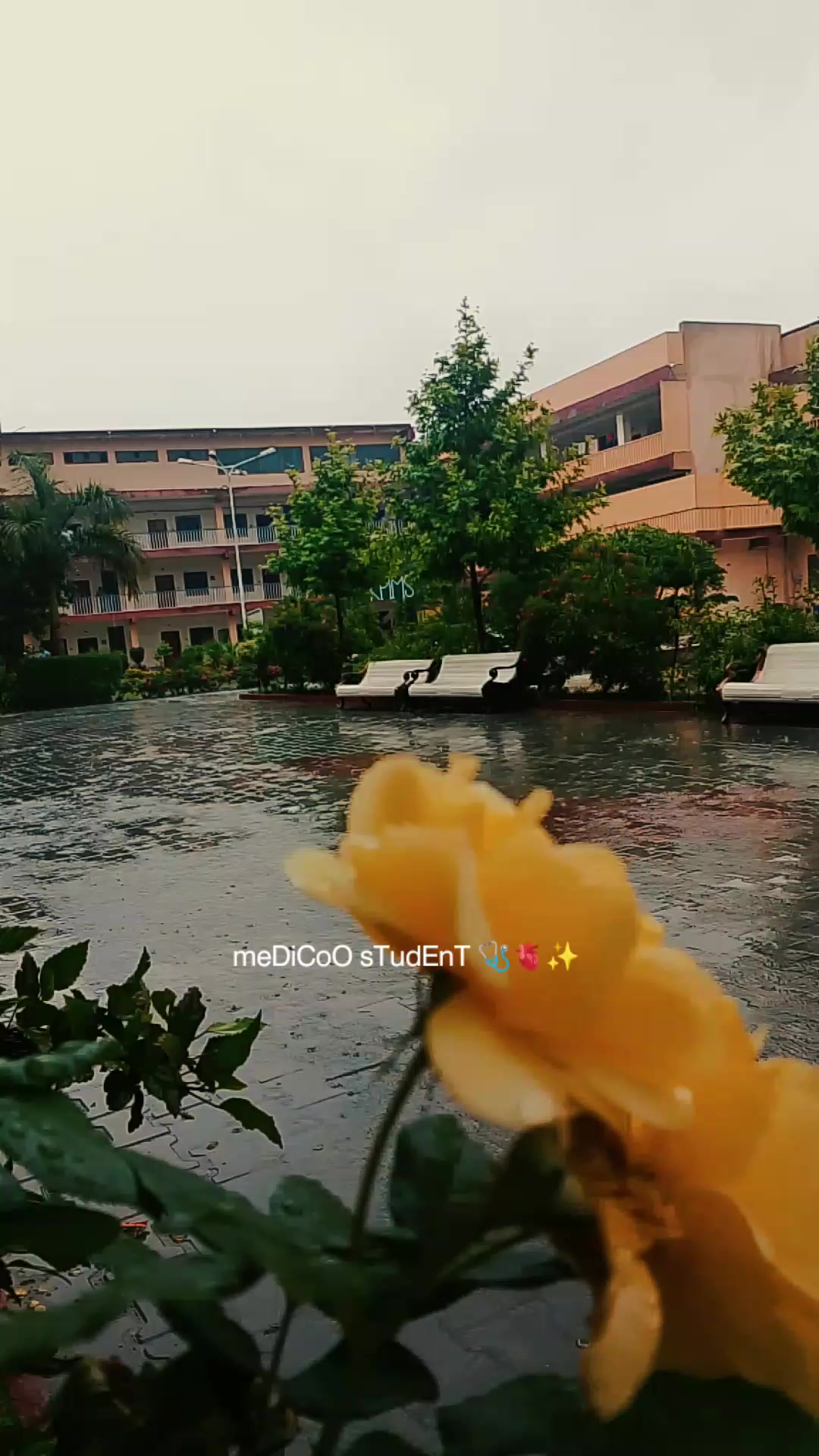 @ₘₑdᵢCₐₗ ₛₜᵤdₑₙₜ 🩺🎓🫀