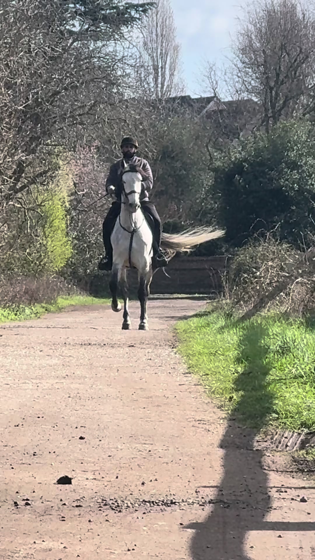 @Slough horses
