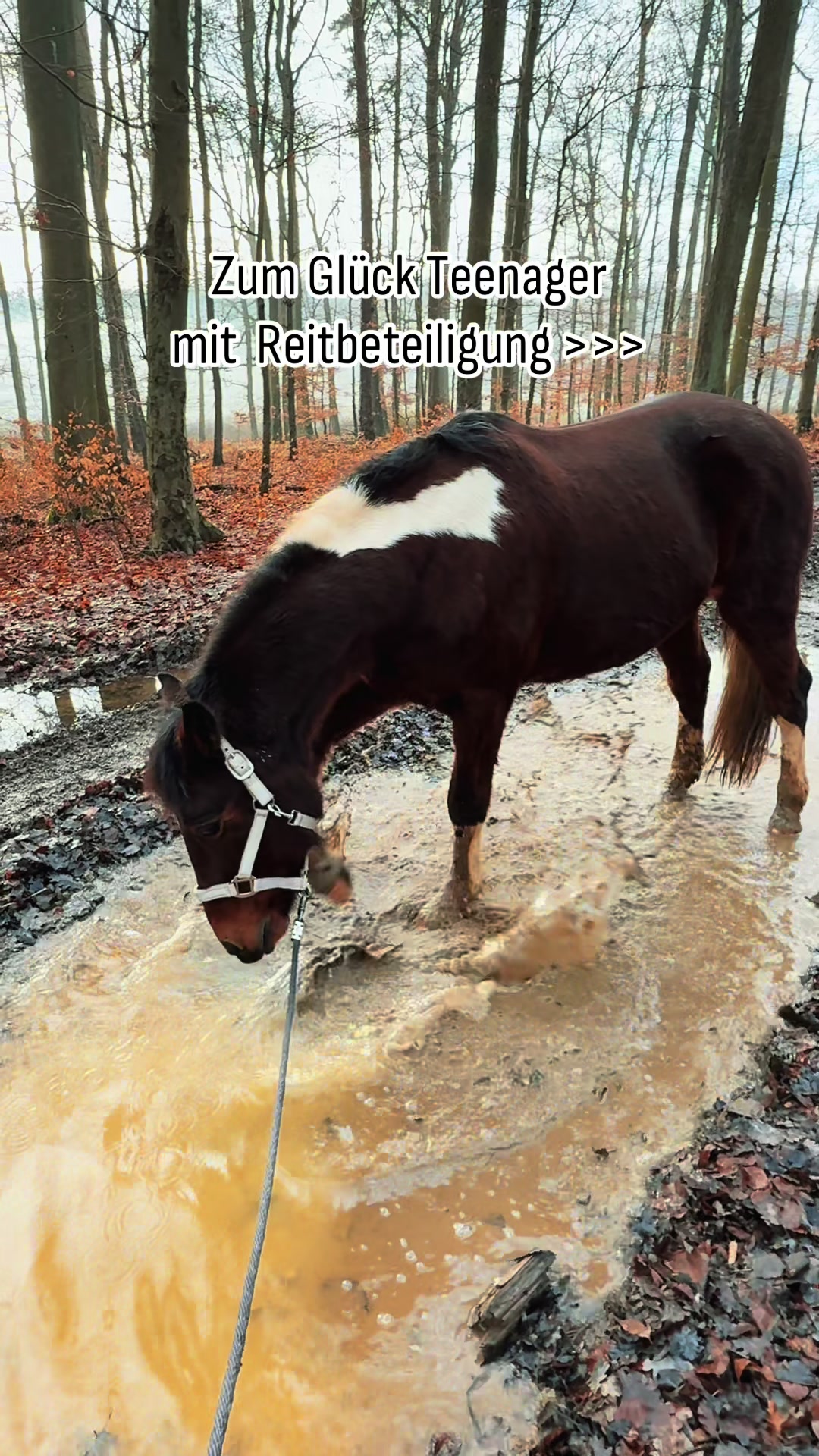 @€mily 🇩🇪🥥⛧