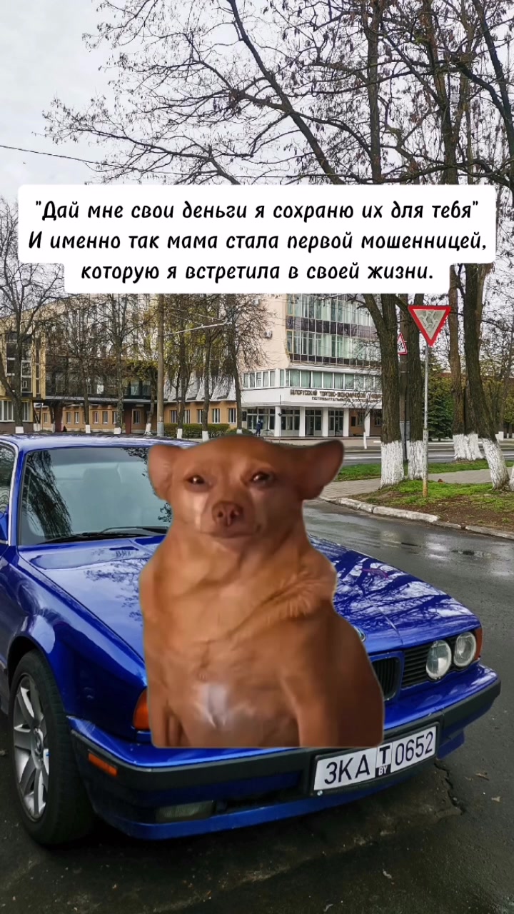 @любительница Audi ❤️