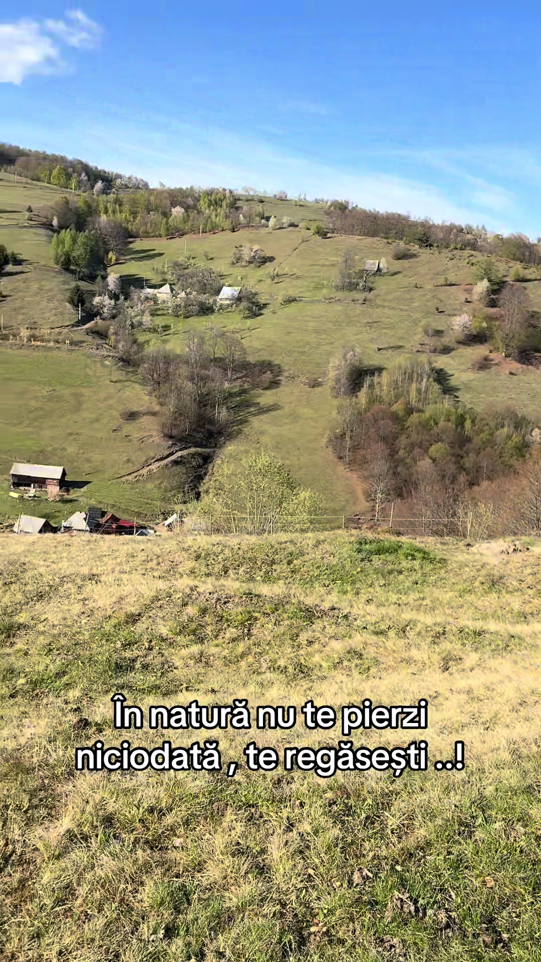 @Darius Cristea
