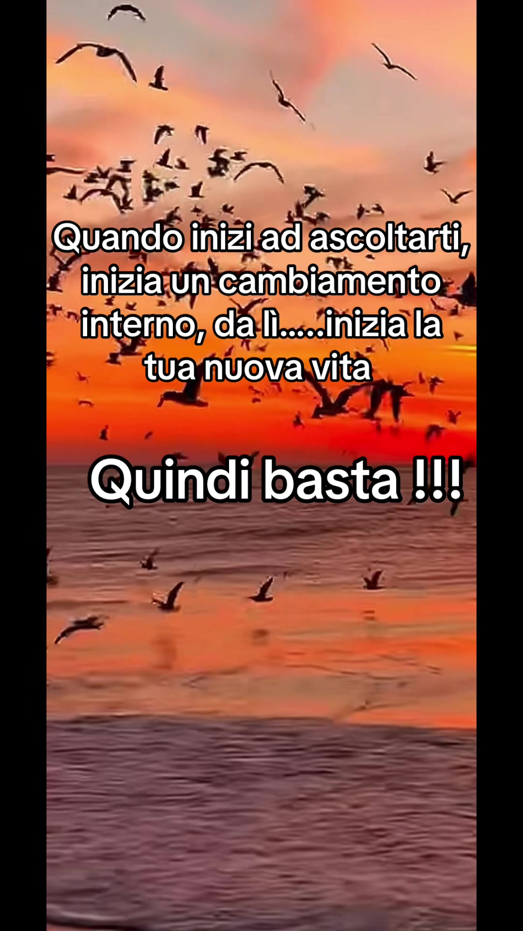 @incastroperfetto1