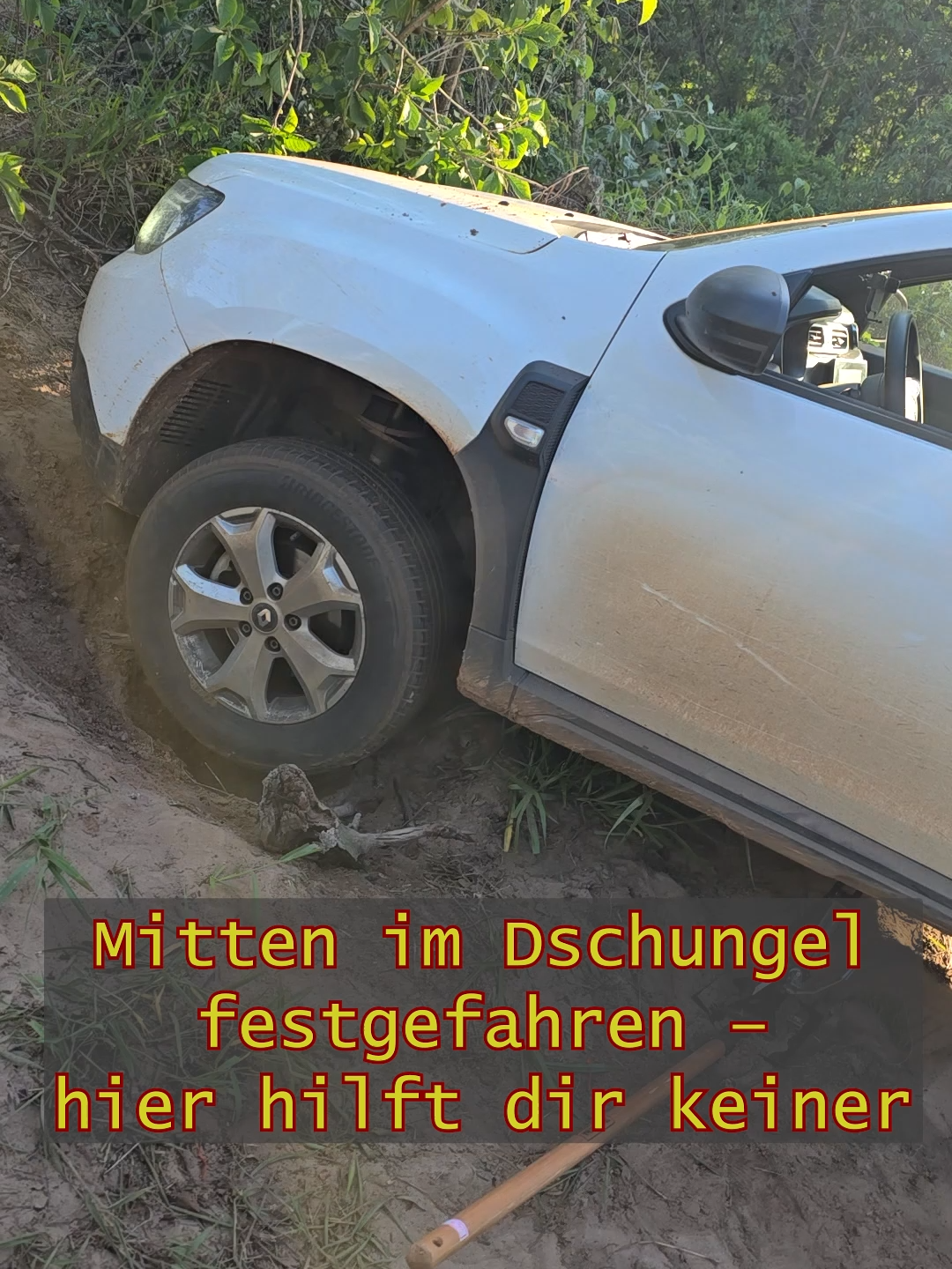 @MyAnts.de