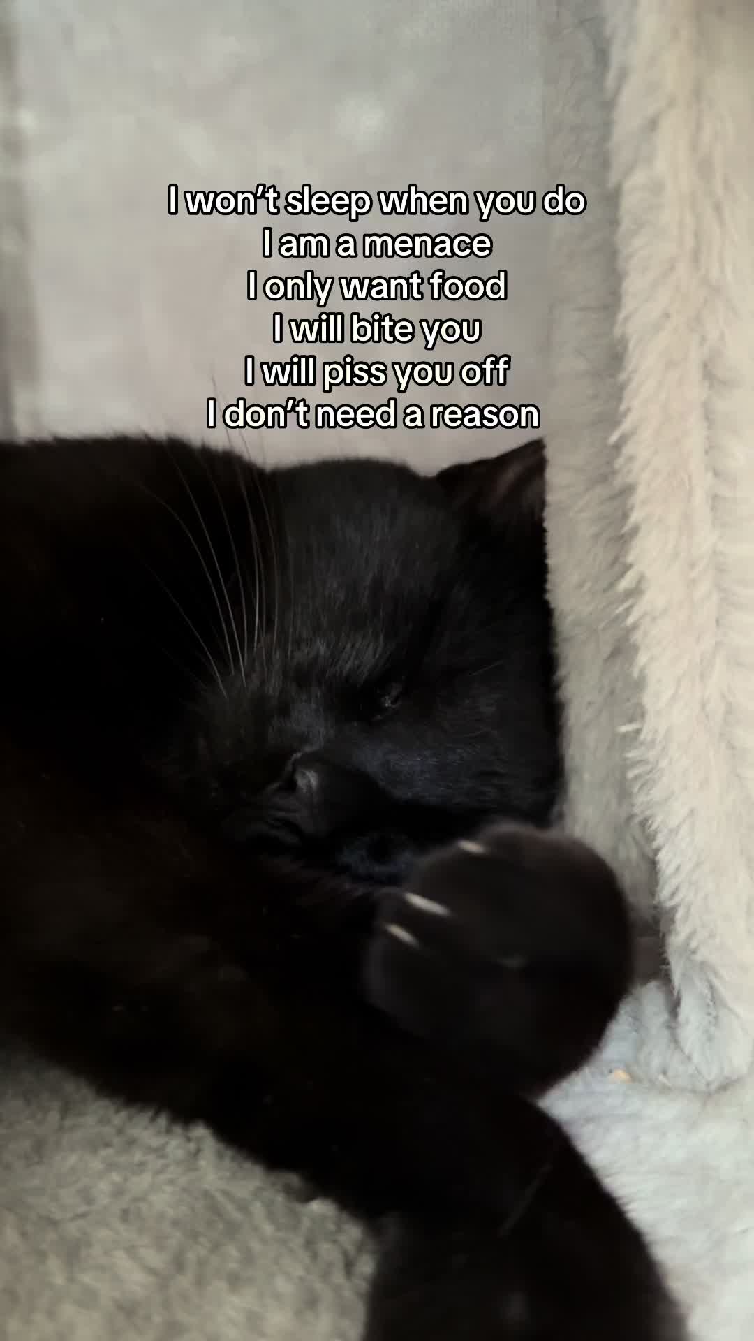 @bobthewenni