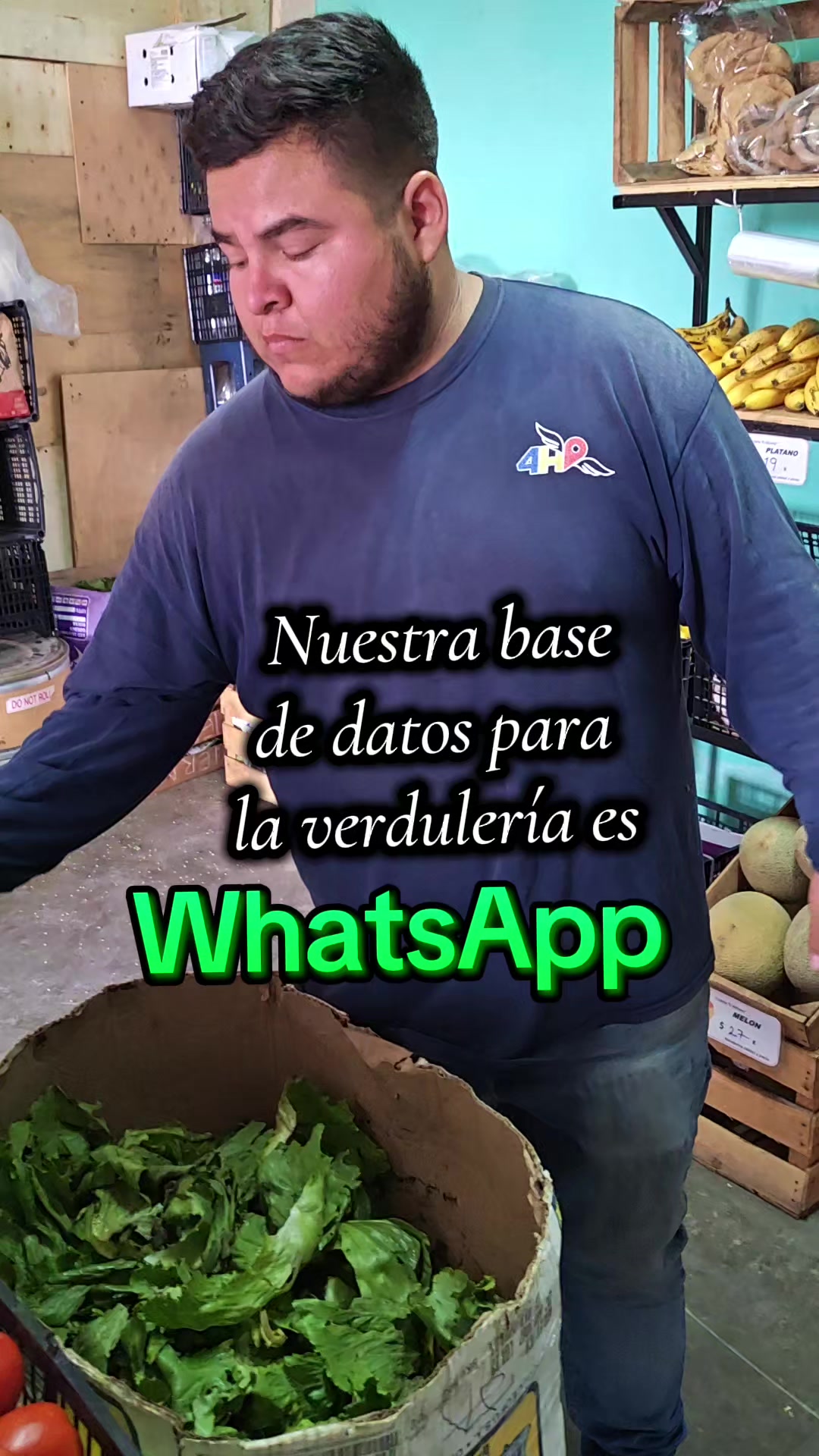 @Conecta-dos