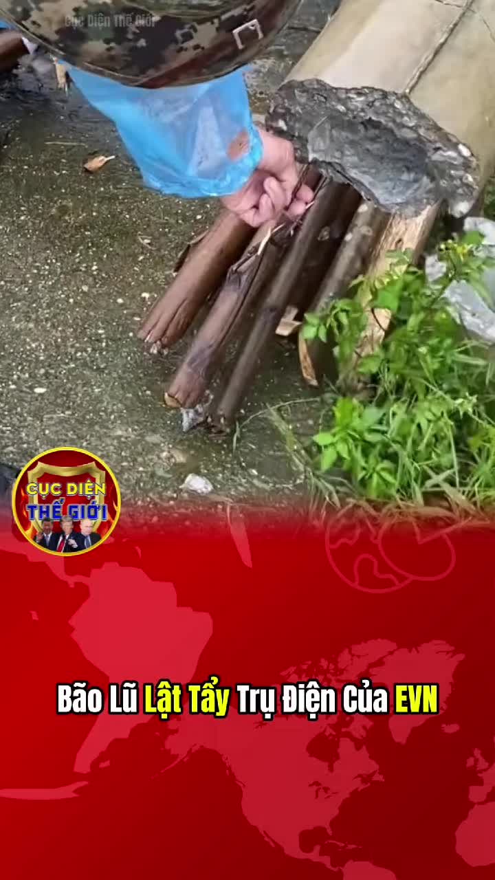 @W͙W͙8͙8͙ Cục Diện Thế Giới