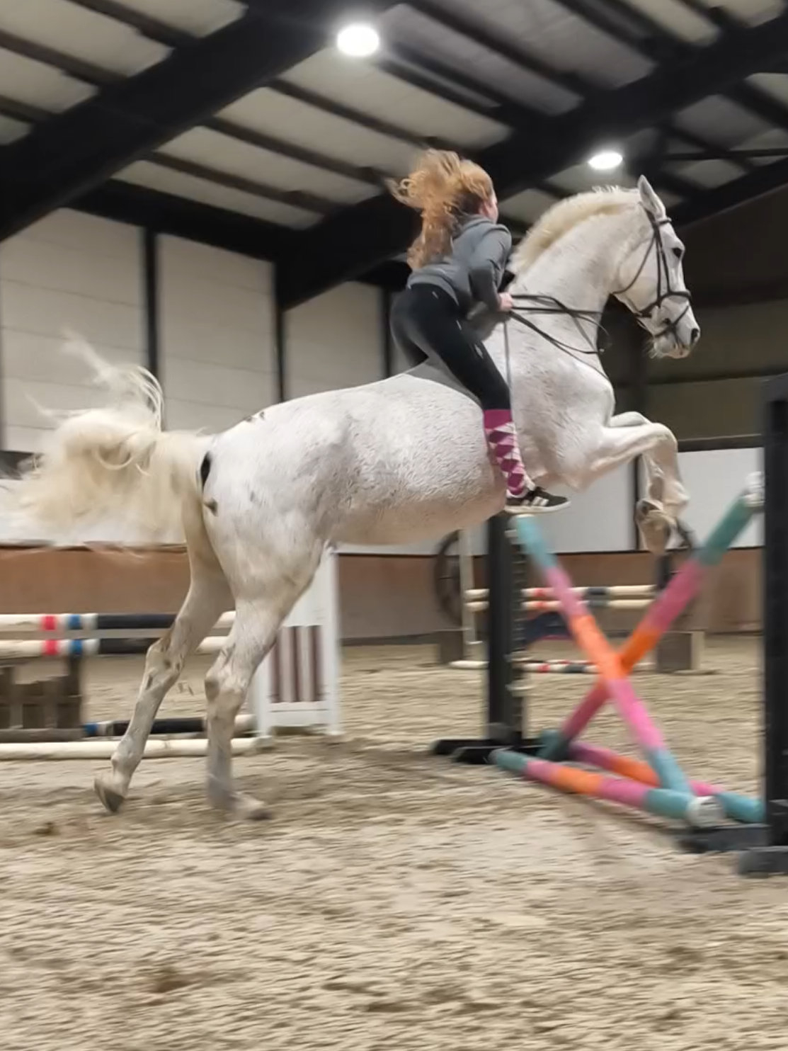 @Spring"Pony"Casha