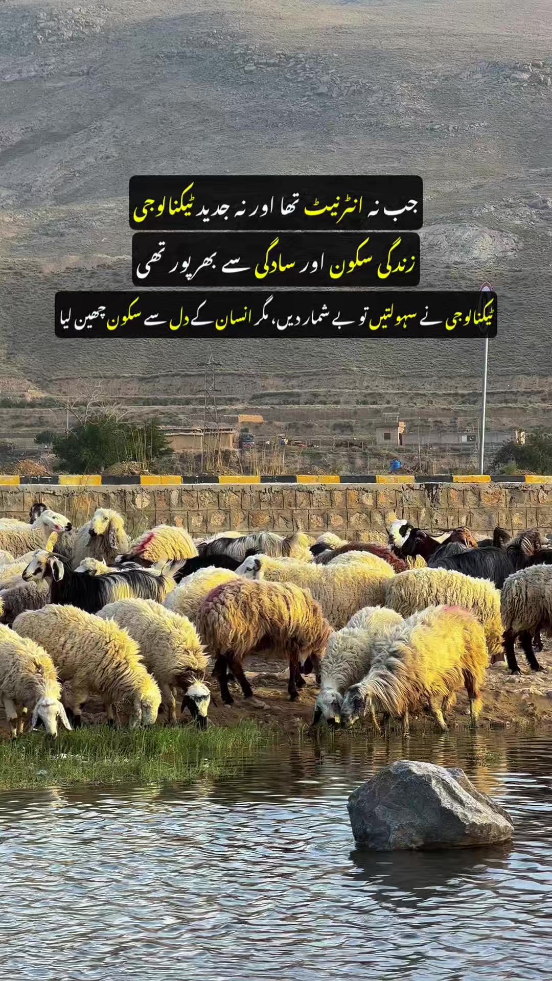 @I AM QUETTA