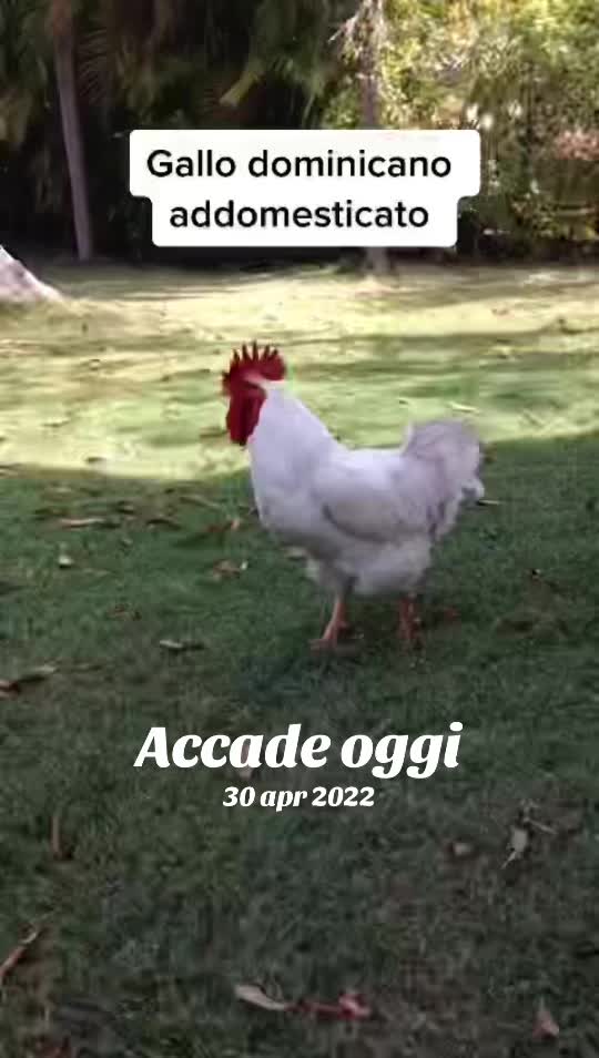 @Annalisa Ferro