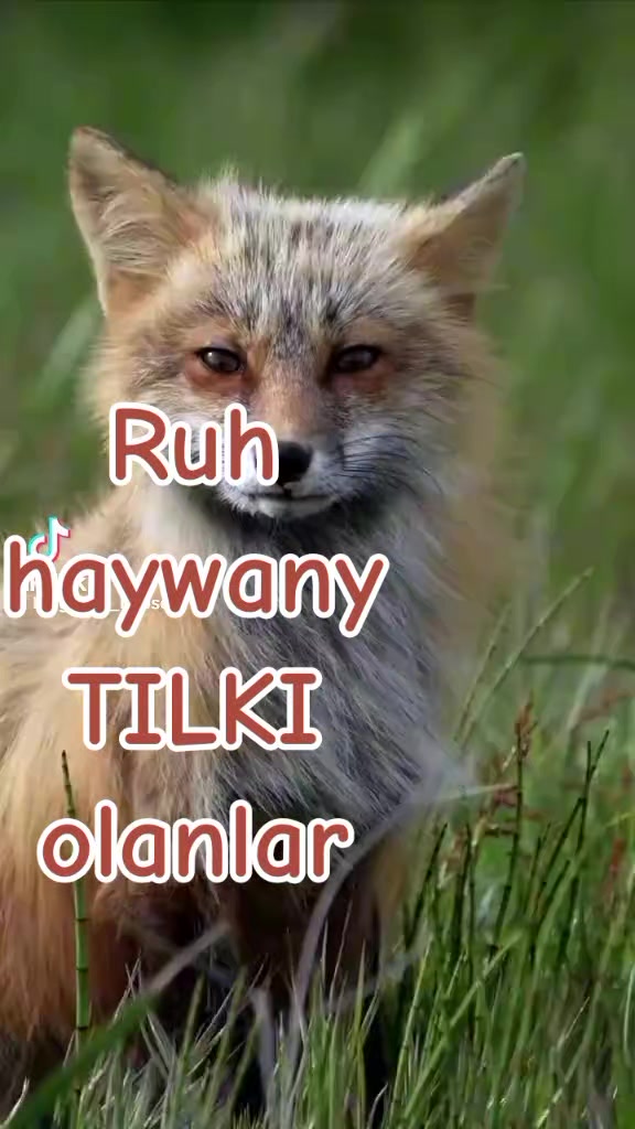 @Makgim_14