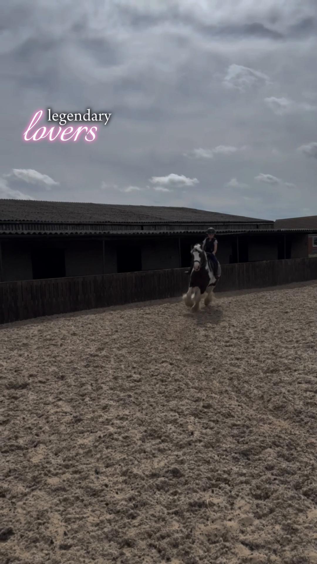 @LottiesHorseAdventures🦄🐴