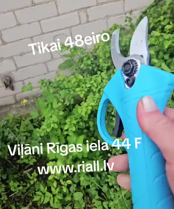 @Arnis (Leitāns)
