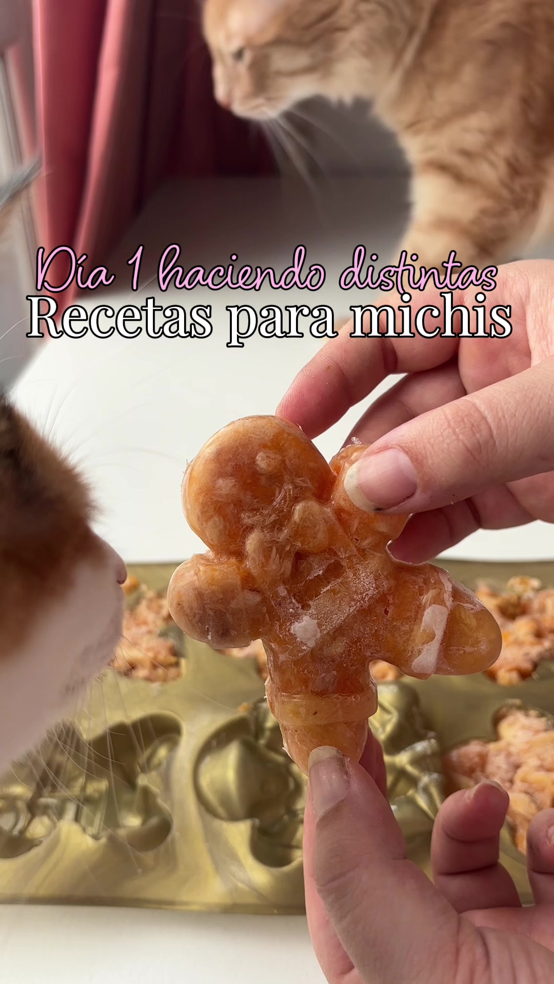 @- Alejandra 🐱💕