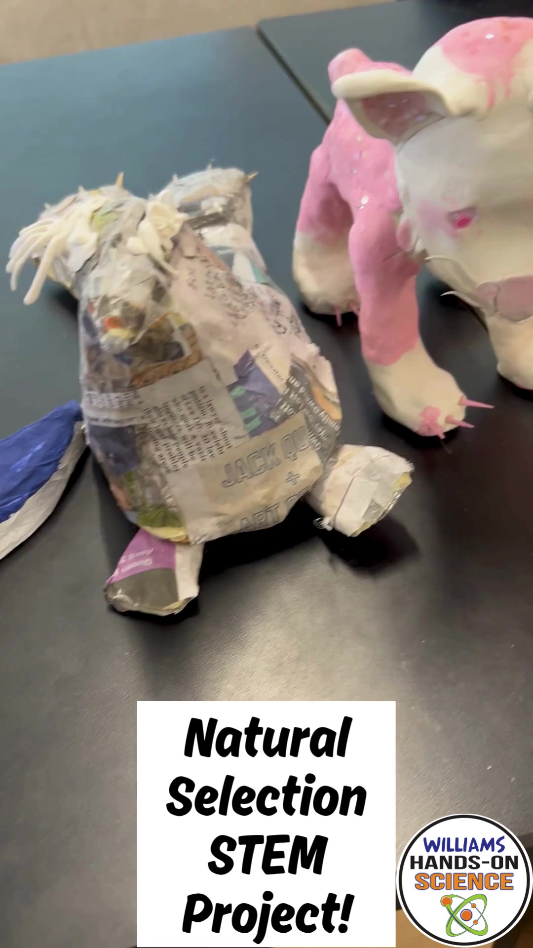 @NGSS STEM Lessons & Activities
