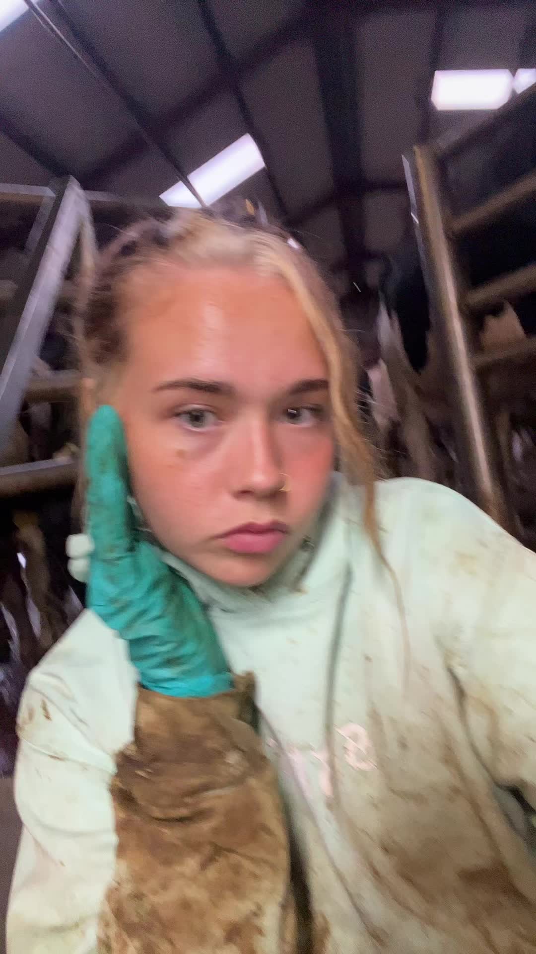 @robyn🐮🏑