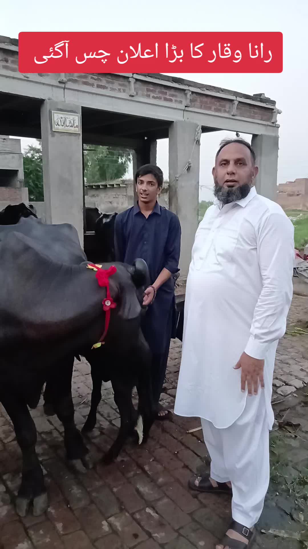 @Farming and Business Ideas