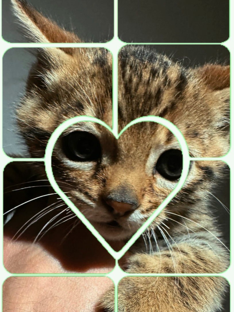 @rio.supercat