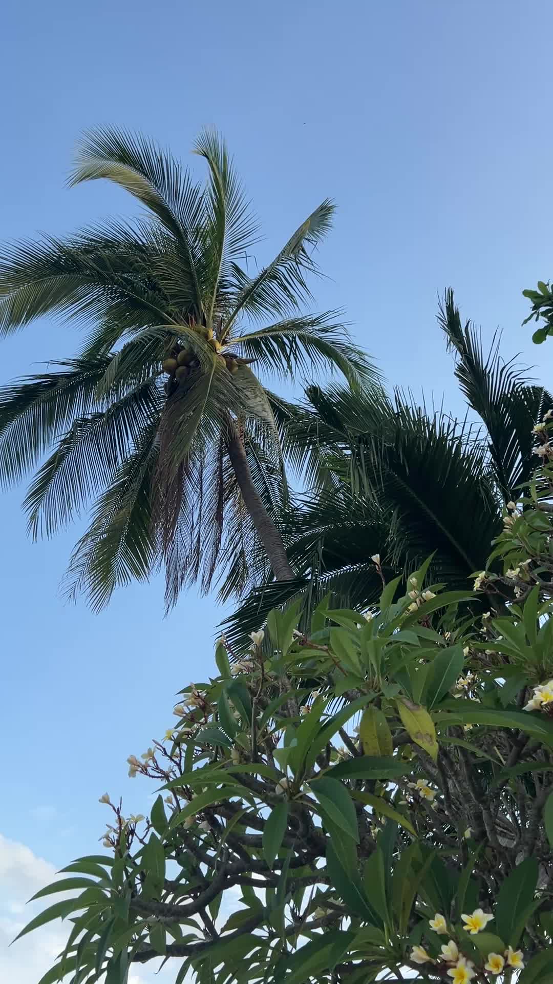 @Samyst76