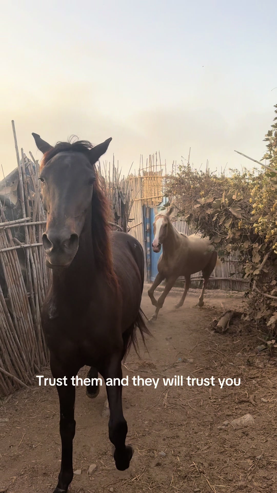 @Soulridesmorocco