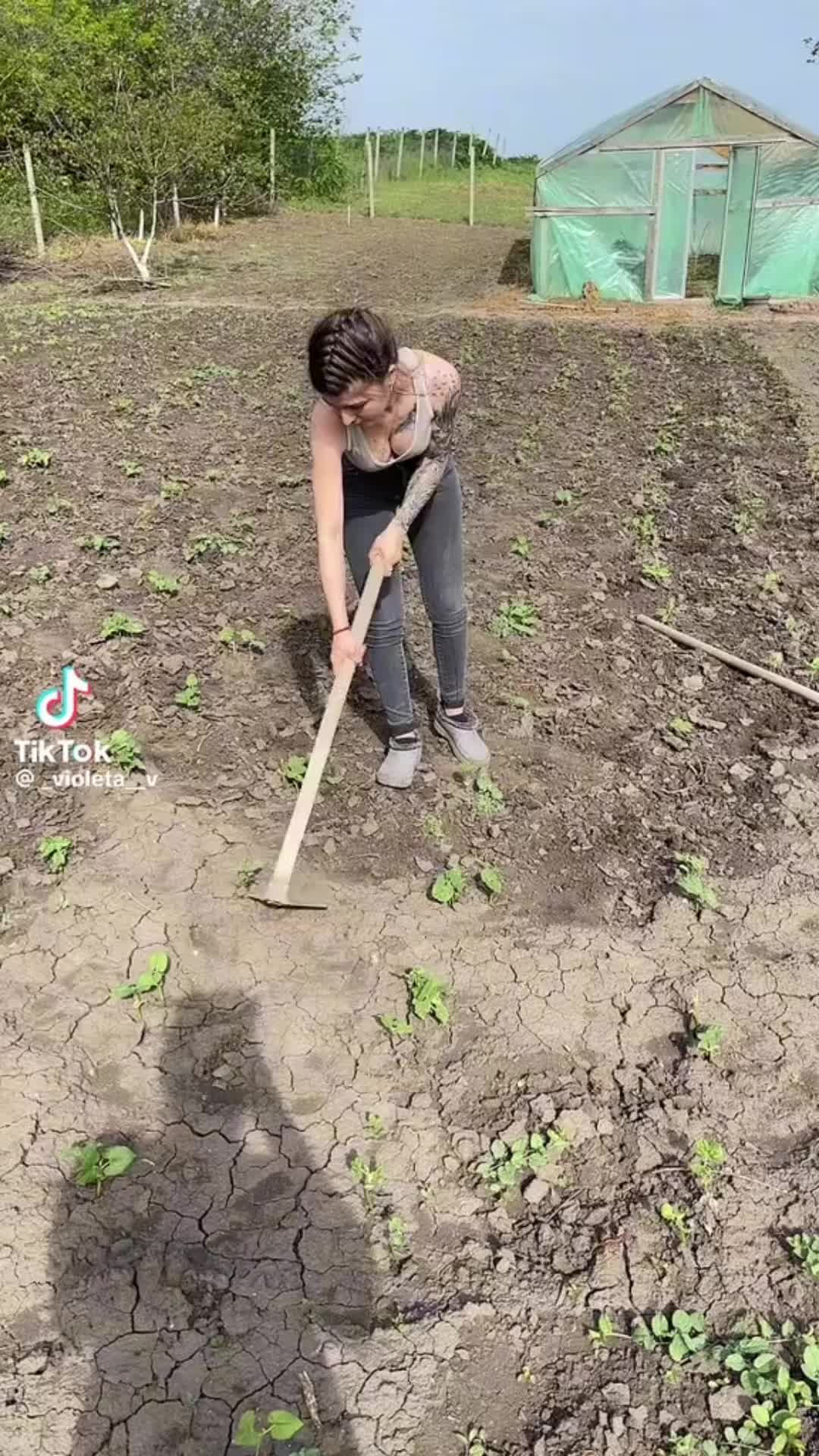 @PricoaleMoldovenesti