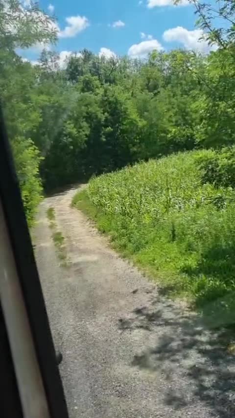 @RĂZVAN♣️