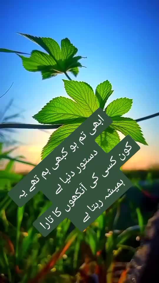 @ishq ibadat