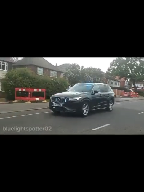 @blue light spotter02
