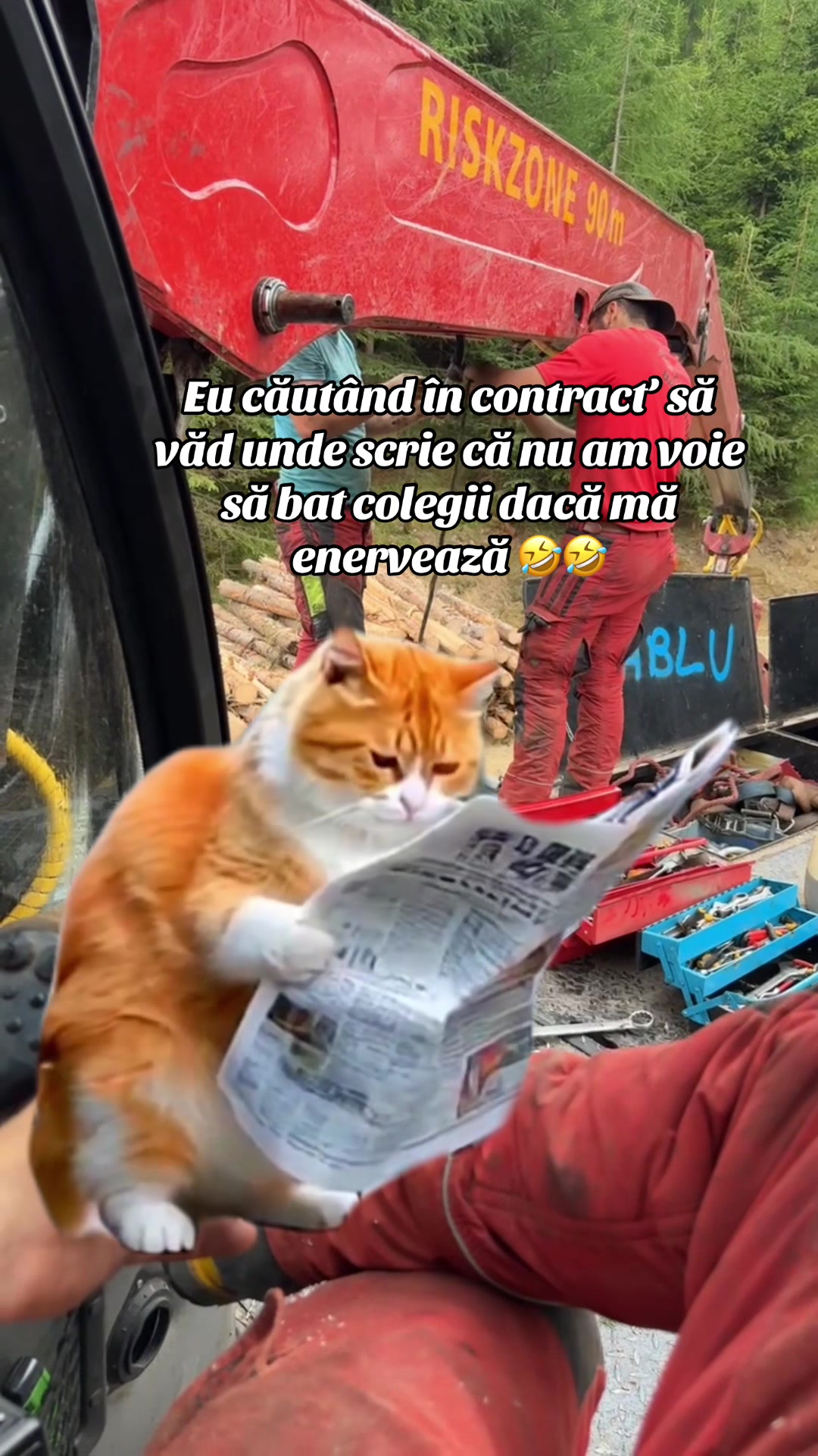 @Nicu Văsieș