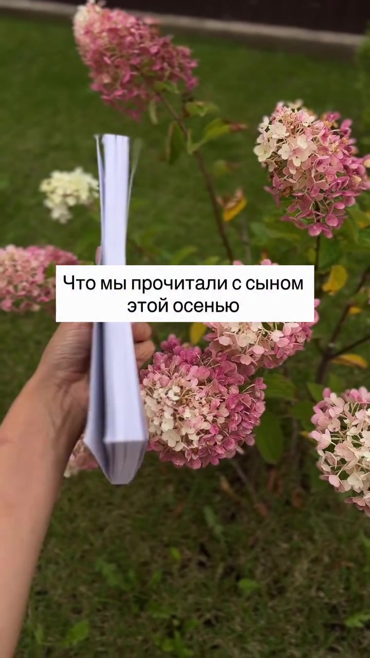 @Книги