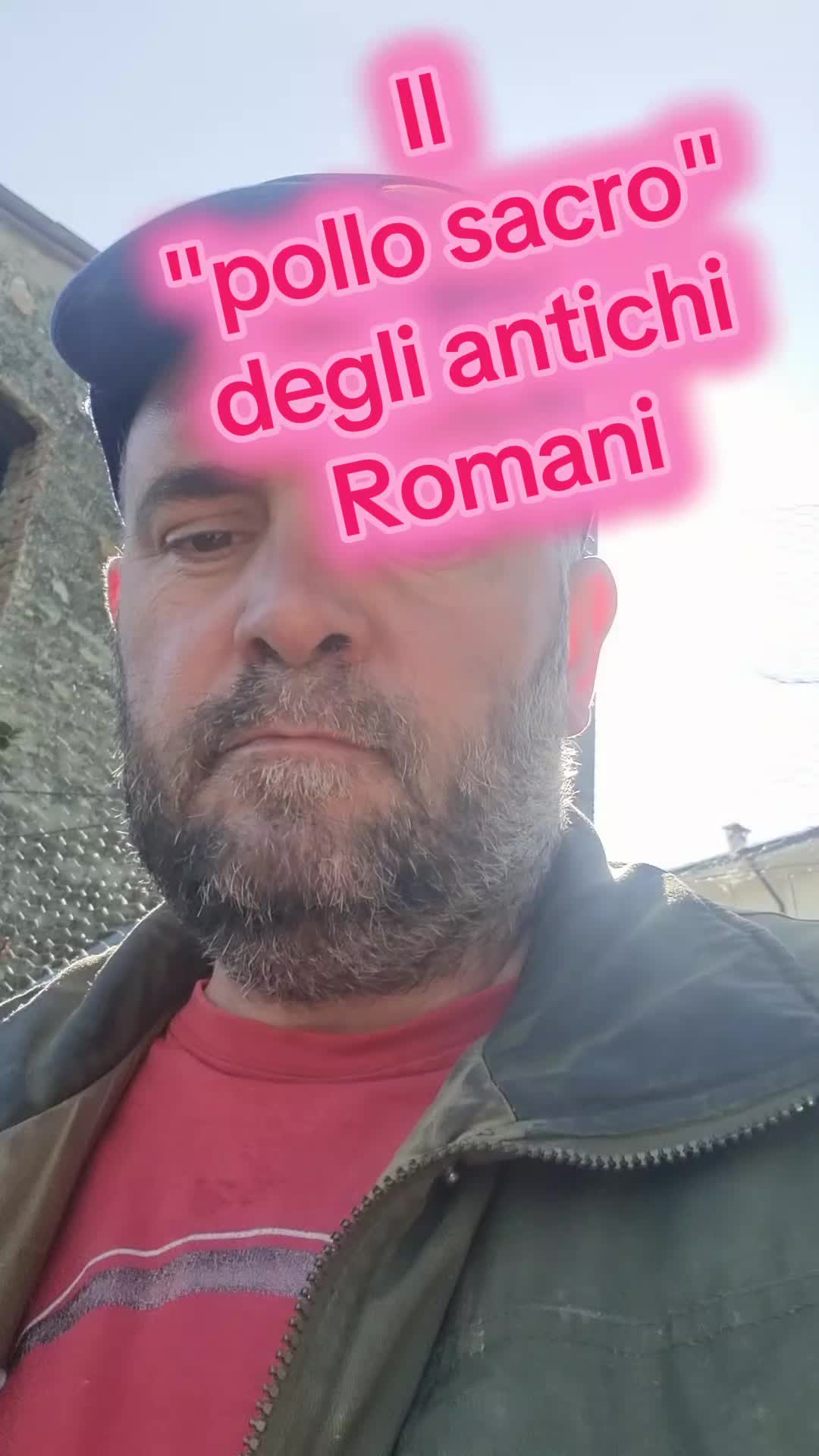 @Il leone e la gallina