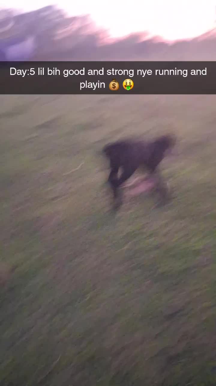 @calvinpittman