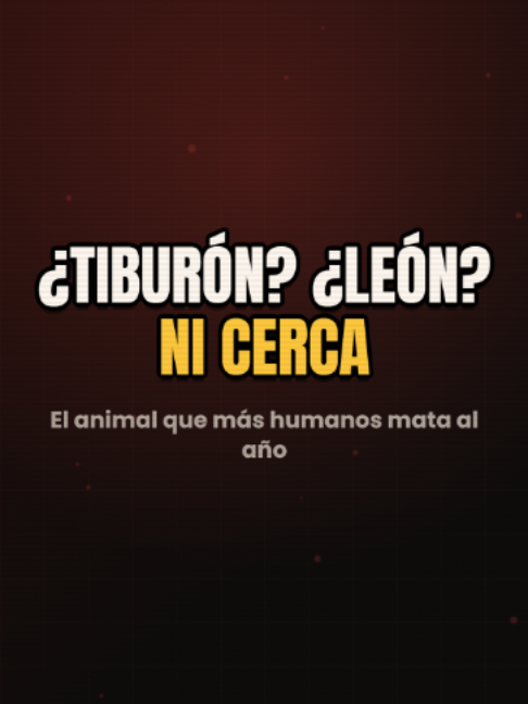 @Al chile!