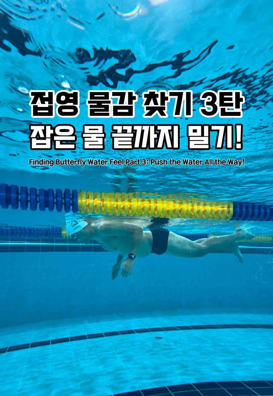 @스위머바니 swimmer banny