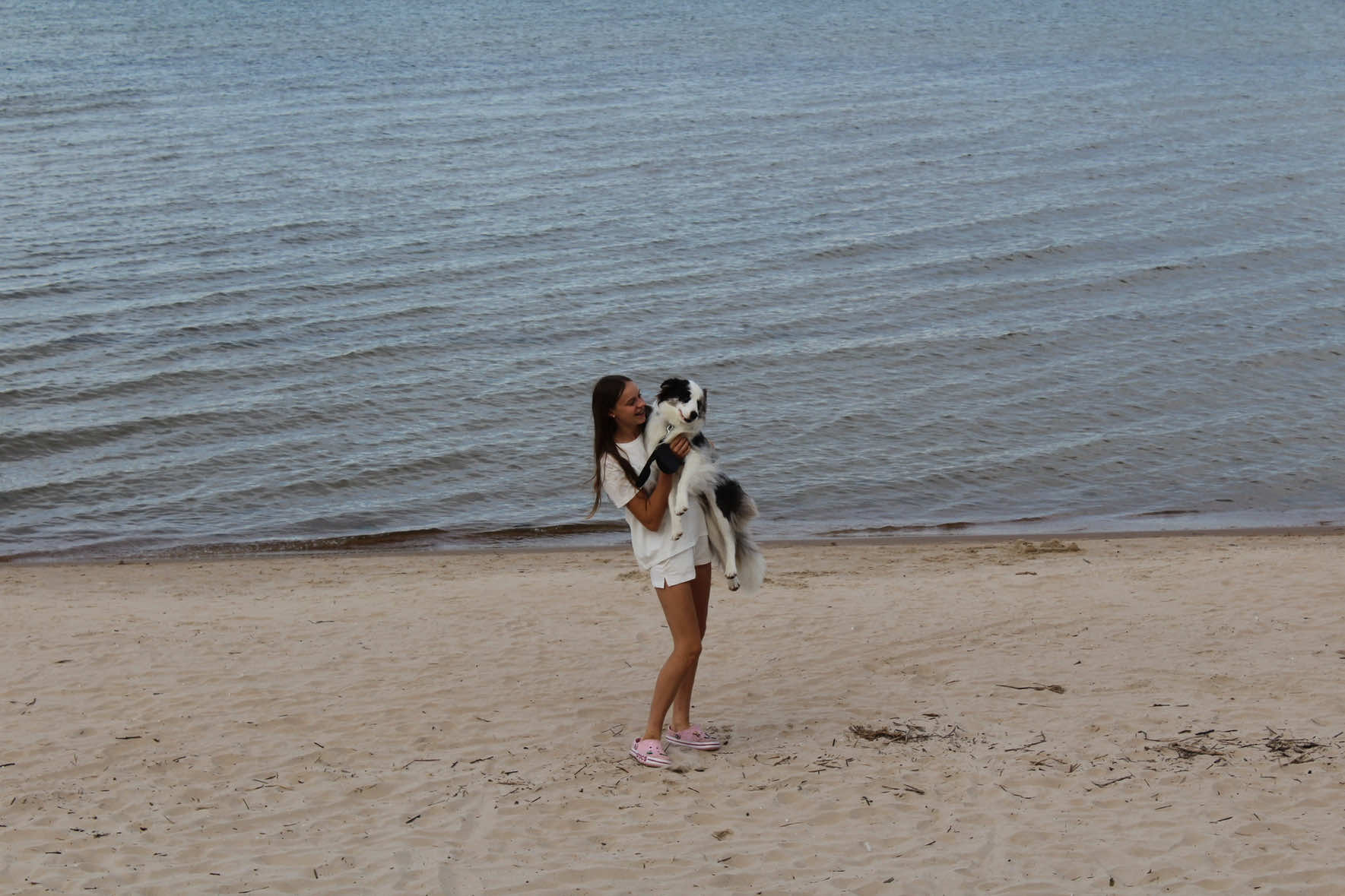 @elisathebordercollie