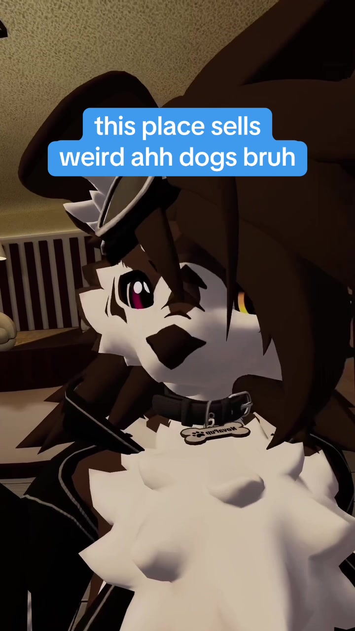 @mawswithpaws