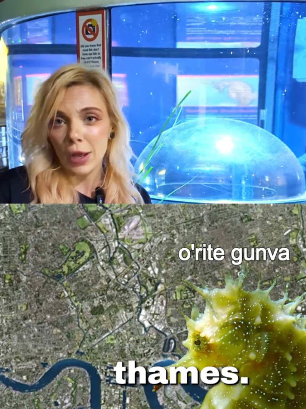 @BristolAquarium