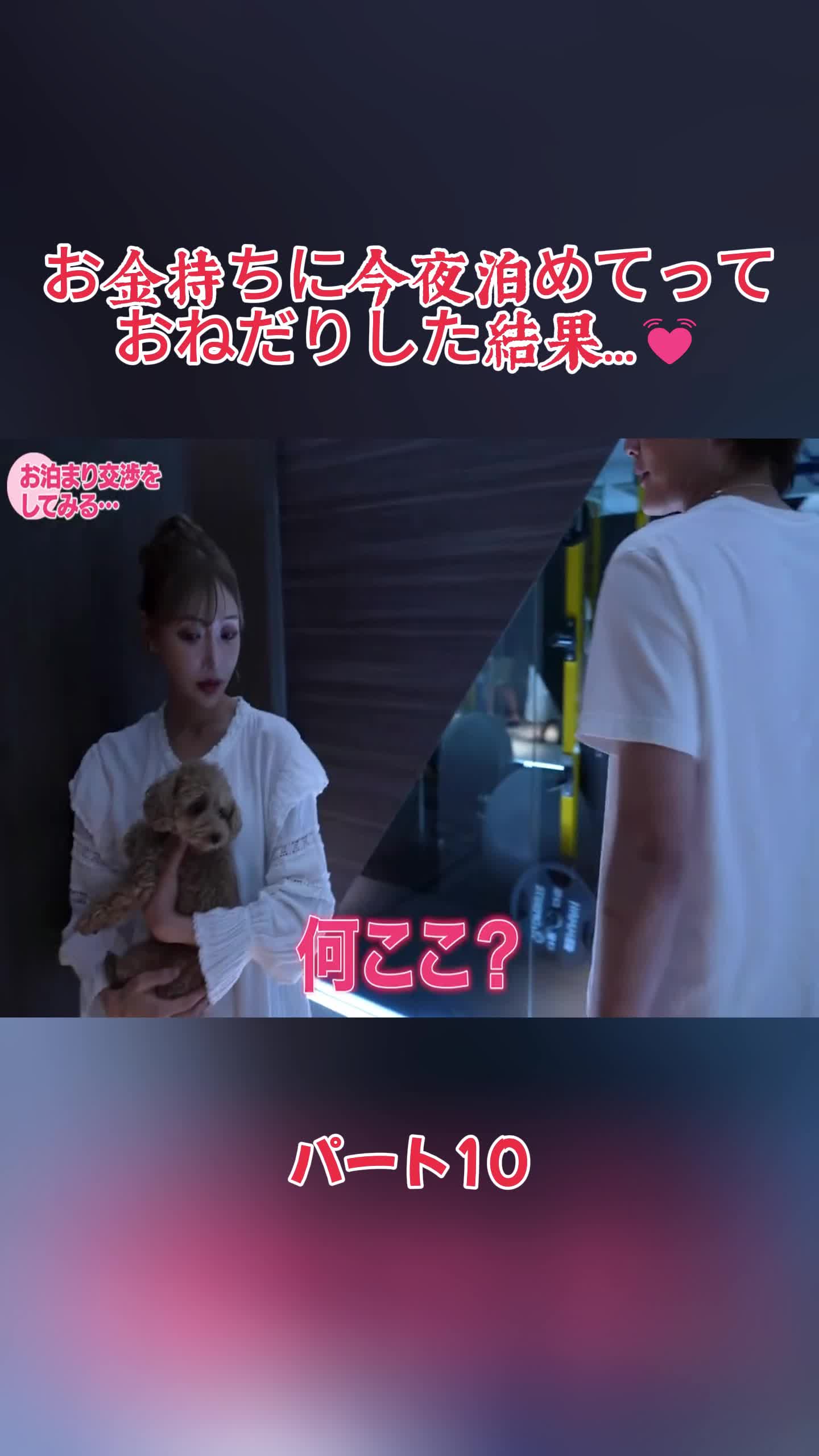 @dynamjp.jdp