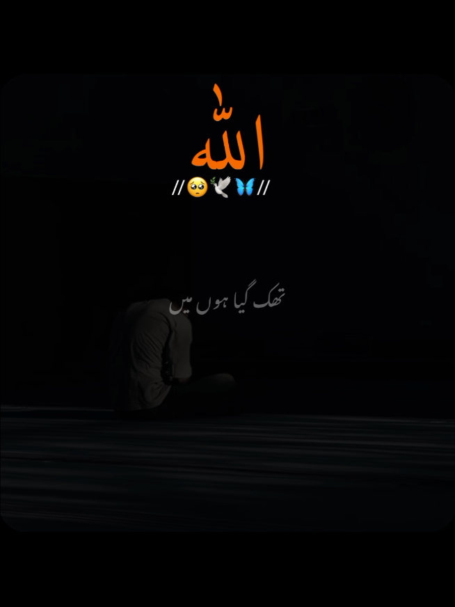 @✨Shahbaz-edit✨