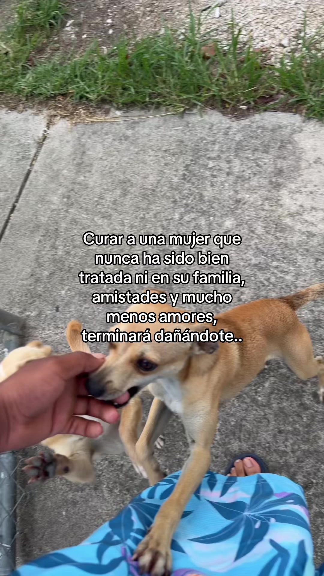 @Luis Morales
