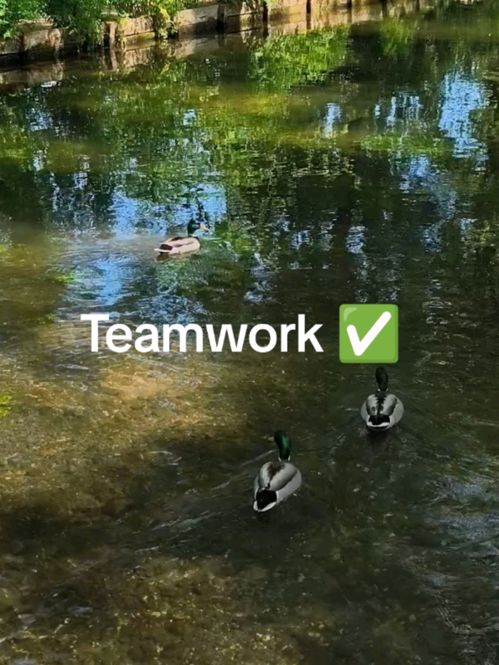@Teamwork