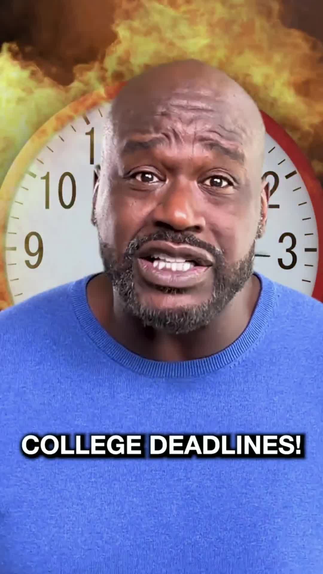 @collie