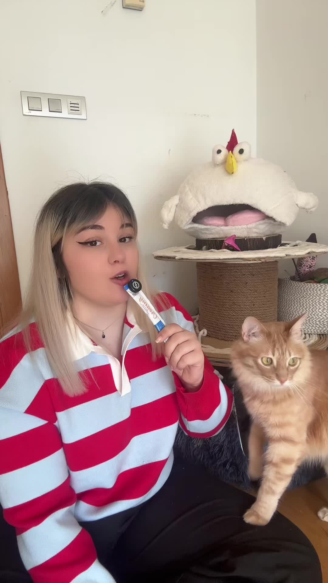@- Alejandra 🐱💕